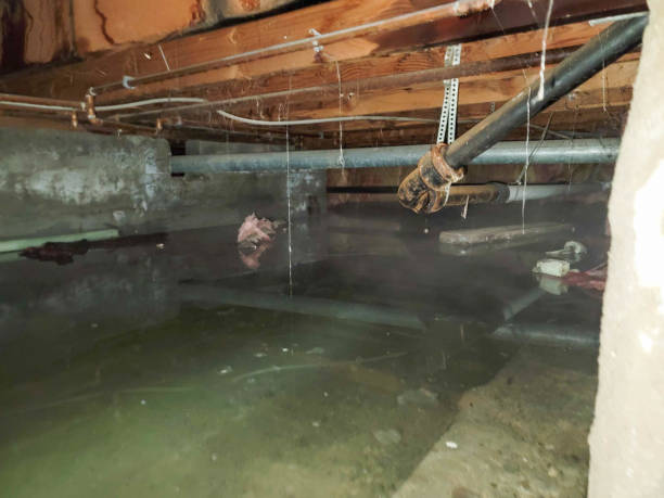 Best Residential water damage restoration  in Navasota, TX