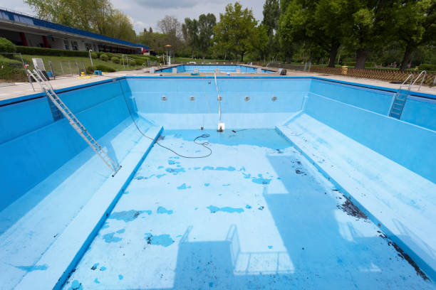 Best Basement water damage restoration  in Navasota, TX