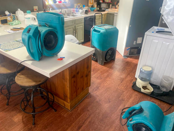 Best Professional water damage repair  in Navasota, TX