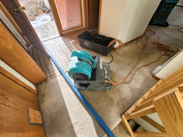 Local water damage restoration in Navasota, TX