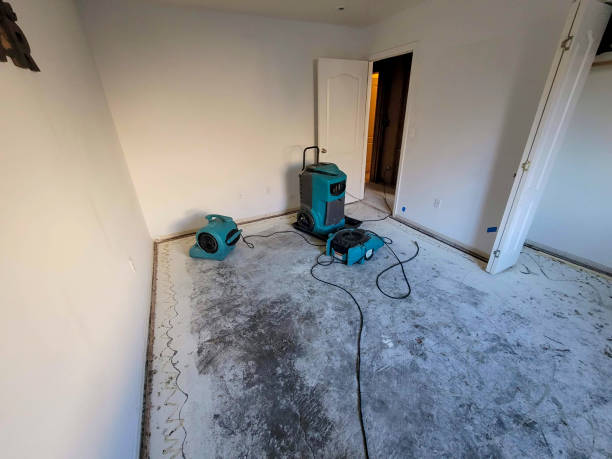 Best Sewage cleanup and water damage restoration  in Navasota, TX
