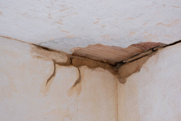 Best Sewage cleanup and water damage restoration  in Navasota, TX