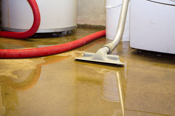 Best Commercial water damage restoration  in Navasota, TX