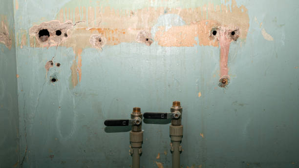 Best Flood restoration services  in Navasota, TX