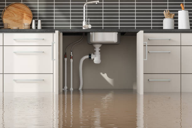 Best Water damage restoration specialists  in Navasota, TX